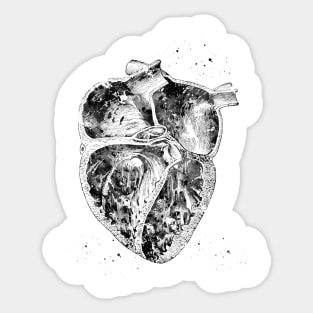 Heart section Sticker